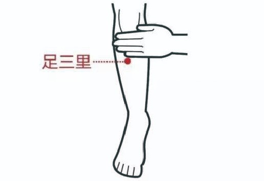 足三里.jpg