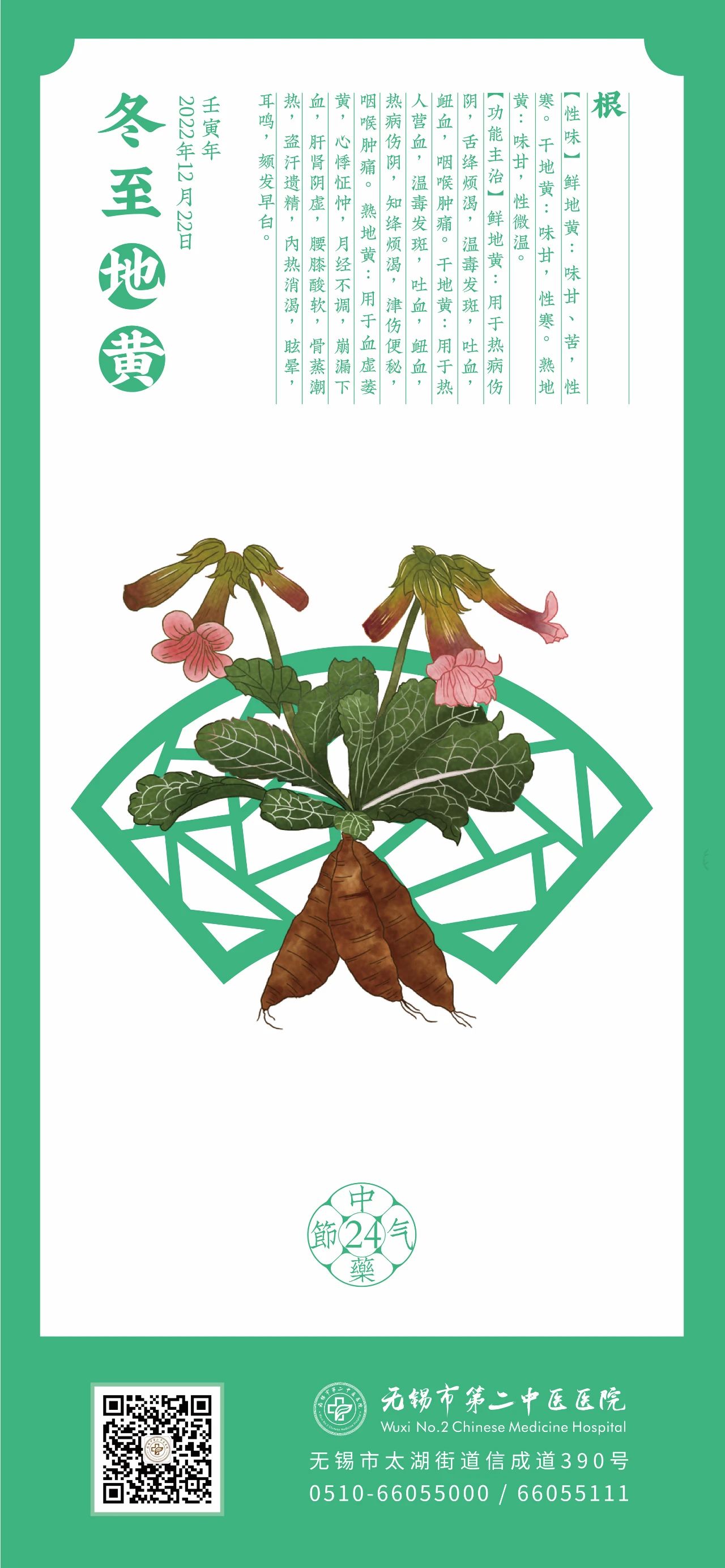 中药二十四节气  今日冬至.jpg