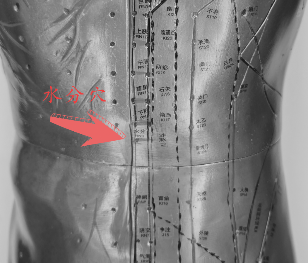 水分穴.png