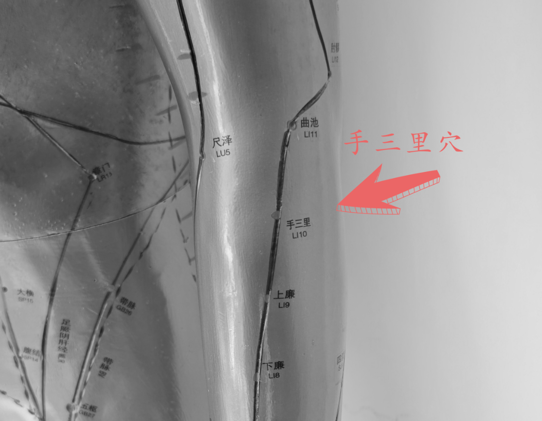 手三里穴.png