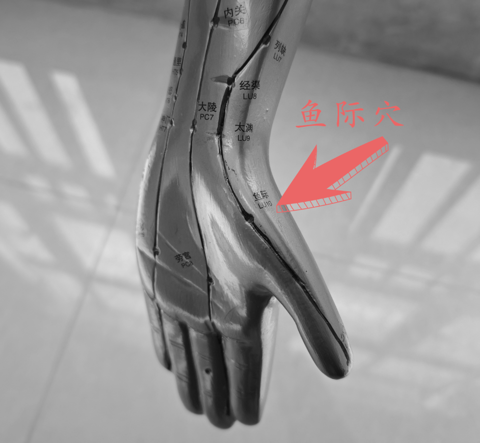 鱼际穴.png